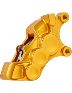 Pinza 6p 11.8"destro oro