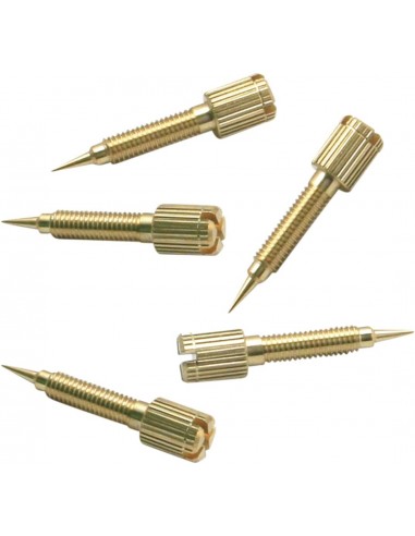 Coclea miscela folle