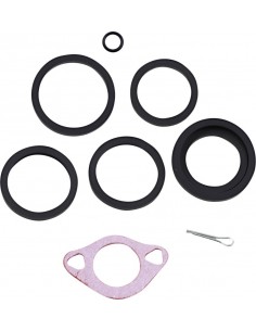 Kit ricostruzione pinza 6 pi