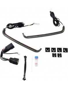 Light bagz 09-13 fume'