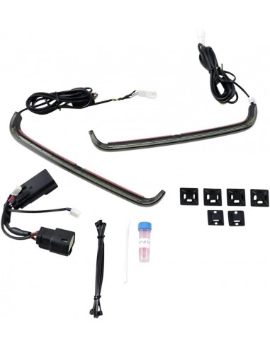 Light bagz 09-13 fume'