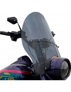 Parabrezza b-brd 20" ds