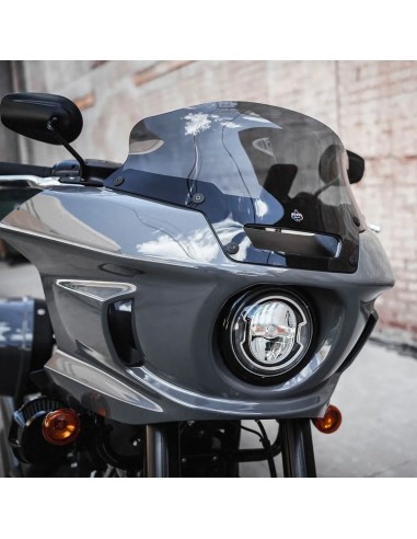 Parabrezza parabrezza s 6" ds