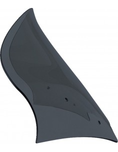 Parabrezza fltr fume scuro 13