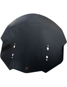 Parabrezza flr gl1800 ds