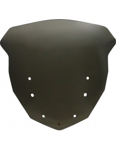 Parabrezza bmw1600 tinta