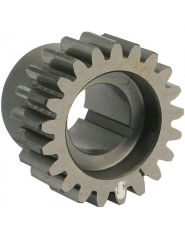 Pignone ingranaggio bianco