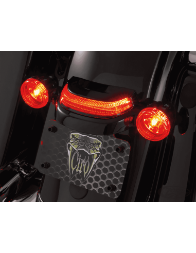 FANALE POSTERIORE CIRO CROWN PER TOURING