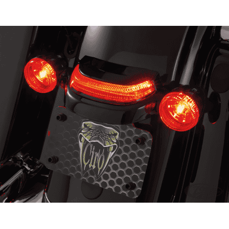 FANALE POSTERIORE CIRO CROWN PER TOURING