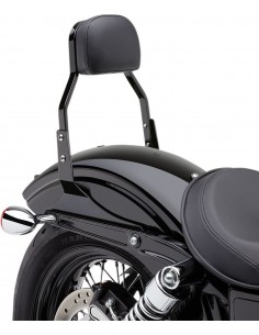 Sissy bar mini quadrato da 11" nero hd