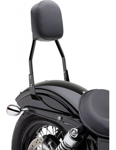 Sissy bar quadrato standard da 17" nero hd