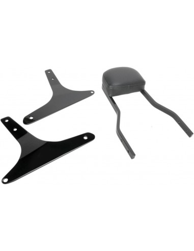 Sissy bar quadrato corto da 14" nero hd