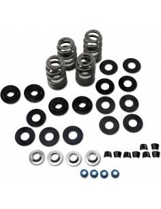 Kit molla valvola alveare alto carico