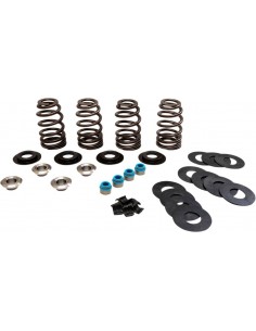 Molle valvole econo tc