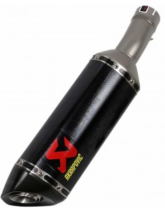 Marmitta Cf Bmw S1000Rr 19