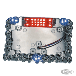 SUPPORTO TARGA CON LUCE A LED "SKULL MANIAC" 2