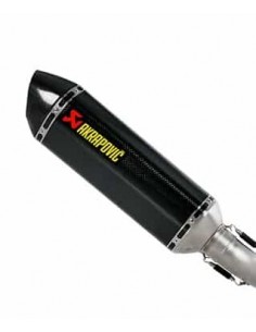 Marmitta Rpl Cf S1000Rr