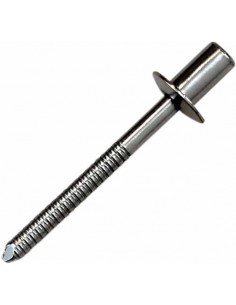 Rivetto Ss D4 8X8 Trasparente