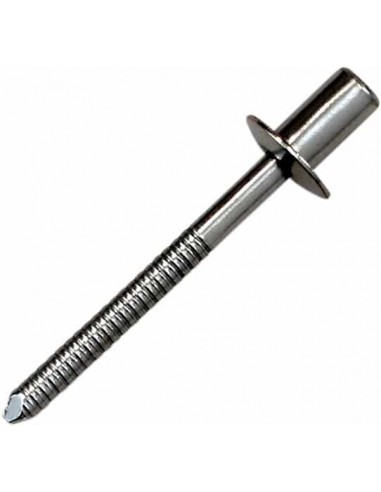 Rivetto Ss D4 8X8 Trasparente