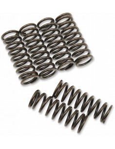 Set Molle Frizione Suz