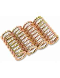 Set Molle Frizione Hon/Tri