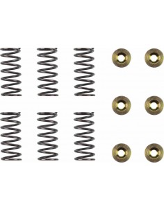 Kit Molle Frizione Ducati