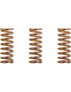 Kit Molle Frizione Ducati