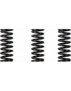 Kit Molle Frizione Ducati