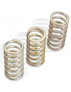 Molla Frizione Kt Duc