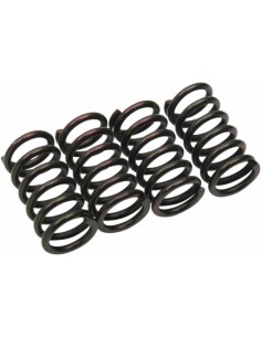 Molle Frizione Barnett