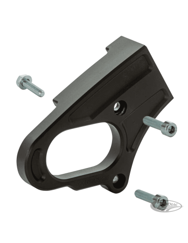 PORTATARGA LATERALE RICK'S PER SPORTSTER S RH1250S