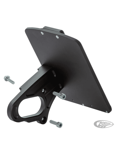 PORTATARGA LATERALE RICK'S PER SPORTSTER S RH1250S