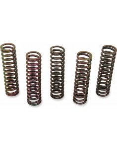 Kit Molle Frizione Suz