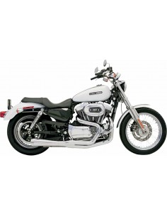 Scarico Rr2-1Up86-03Xl Cap