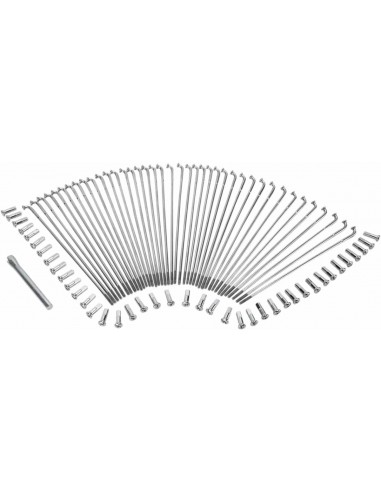 Set Raggi 19"Ss Wg/Dc