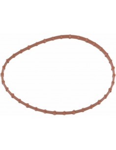 Guarnizione Porta Pompa 08-22Flt