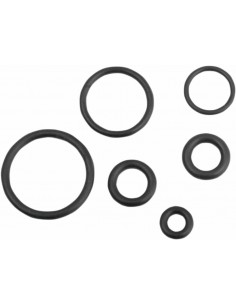 Kit O-Ring Linea Carburante Efi