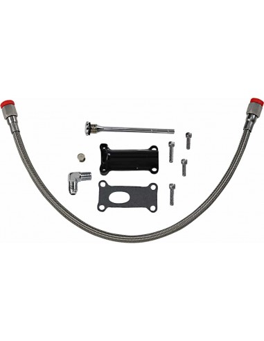 Beccuccio Olio Eng 02-06 Fl Bk