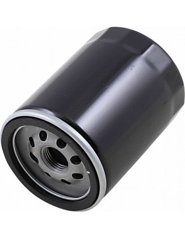 Filtro Olio Nero Con Dado M8