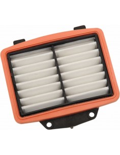 Filtro Aria Victry 7081395