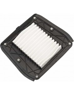 Filtro Aria Indiano 7082024