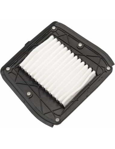 Filtro Aria Indiano 7082024