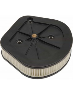 Filtro Aria In Carta St 18-22