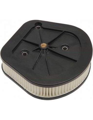 Filtro Aria In Carta St 18-22