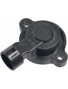 Sensore Posizione Farfalla