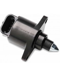 Controllo Aria Minimo Motore