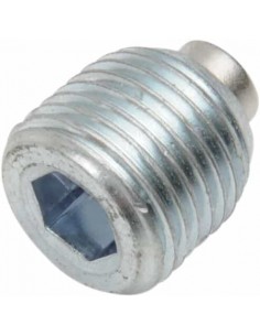Tappo Magn Prmry 1/8"Npt