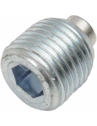 Tappo Magn Prmry 1/8"Npt