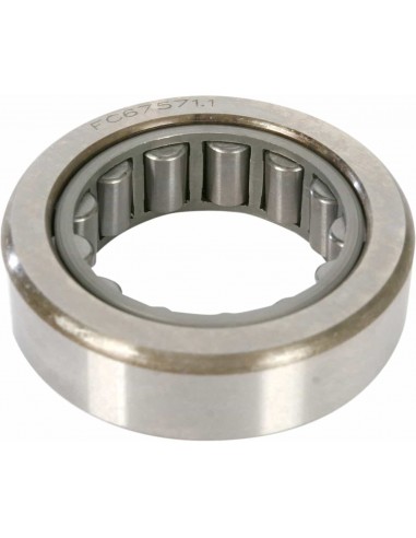 Cuscinetto Primaria 9231