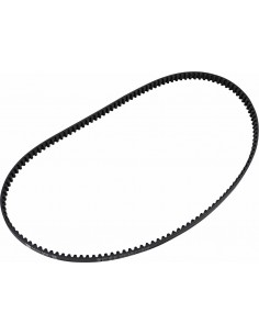 Cinghia Posteriore Drv 24Mmx134T